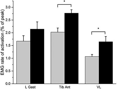 The Efficacy of Targeted Exercise on Gross Motor and Neuromuscular Performance in Survivors of Childhood Leukemia: A Pilot Study